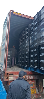 600*400 mm Boîte en plastique ESD Boîtes de stockage ESD Caisse conductrice pour pièces électroniques